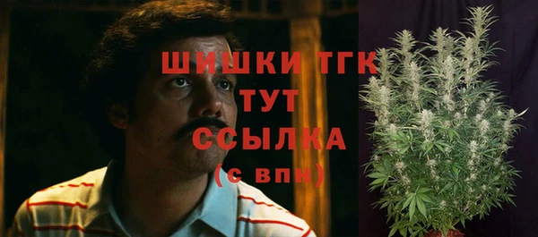 гидропоника Балахна