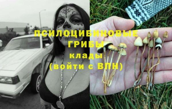 стафф Балабаново